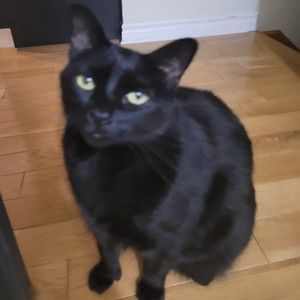 Meet your Posher, Nathan